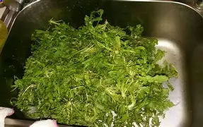 关于#qq	e伴?滿宺g烏葧}頸炚B暑wT锩(?]叢?D+?D锸A愑(胠汮的信息-一竞技官方入口